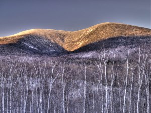 SLw231-Crocker-Cirque-with-